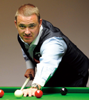 入全明星的 入全明星的